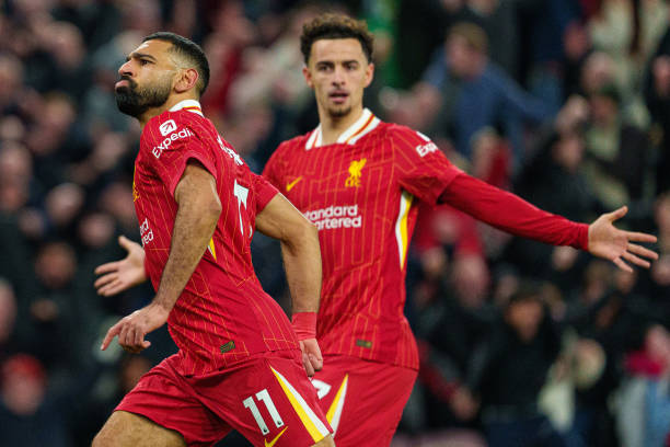 体竞争力 体竞争力